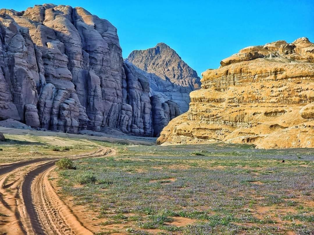 Lukasa Camp Wadi Rum Exterior photo